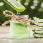 चाहती हैं घने और लंबे बाल तो इस तरह लगाएं एलोवेरा