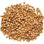 पोषण से भरपूर और फायदेमंद है Buckwheat