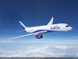 क्या सबसे घटिया एयरलाइन है IndiGo