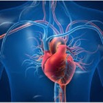 हार्ट अटैक से कैसे बचें