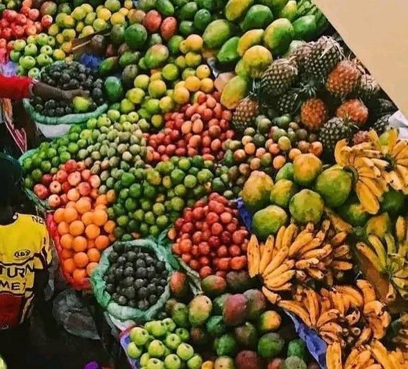 प्रदूषण के दौरान खाएं ये वाले फल-सब्जियां, चौगुनी स्‍पीड से बढ़ेगी इम्‍यूनिटी,