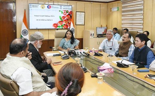 टमाटर के लिए ग्रेंड चैलेंज